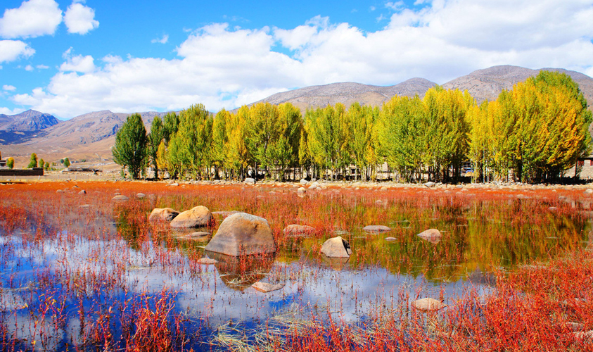 Daocheng Red Swamp