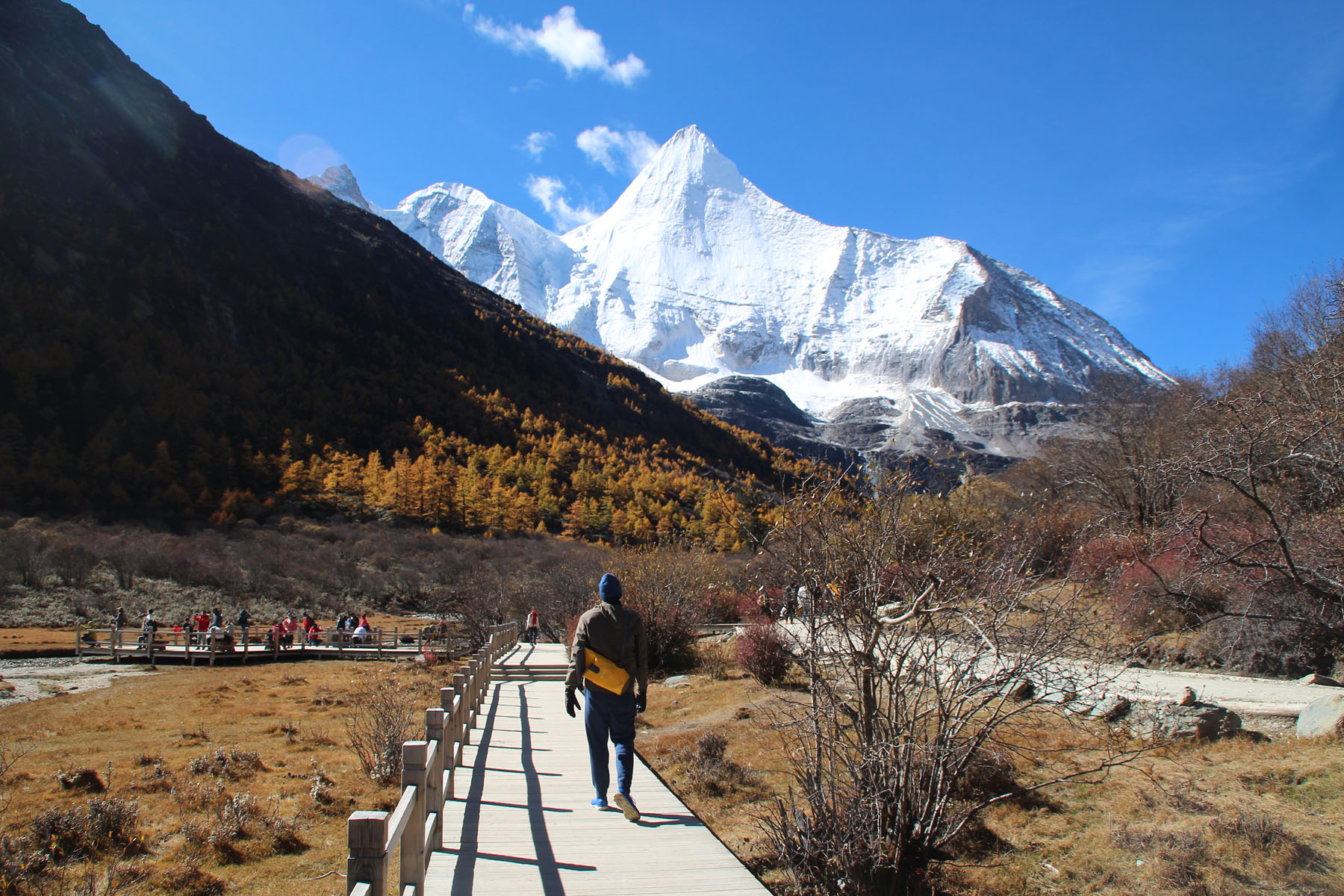 Daocheng Yading Guide