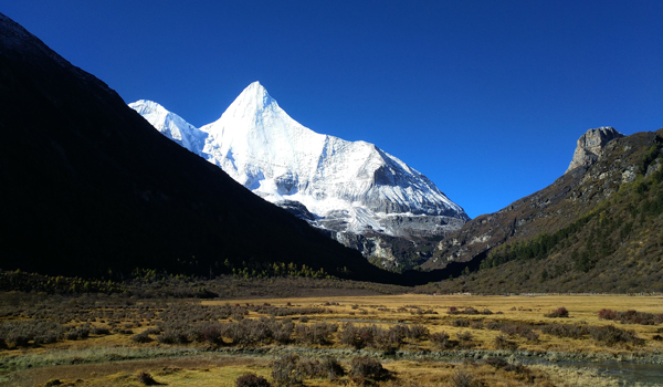 Luorong Yak Ranch