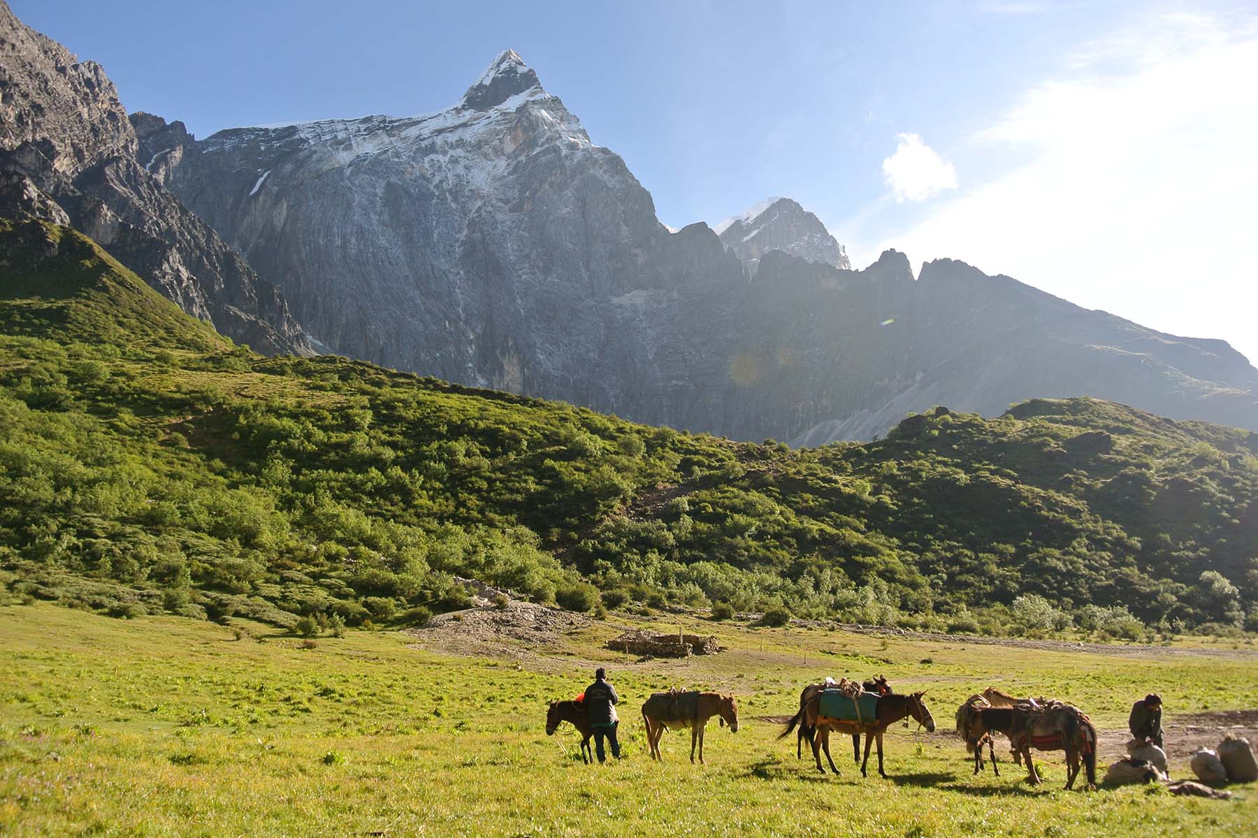 Daocheng Yading Camping and Campsites