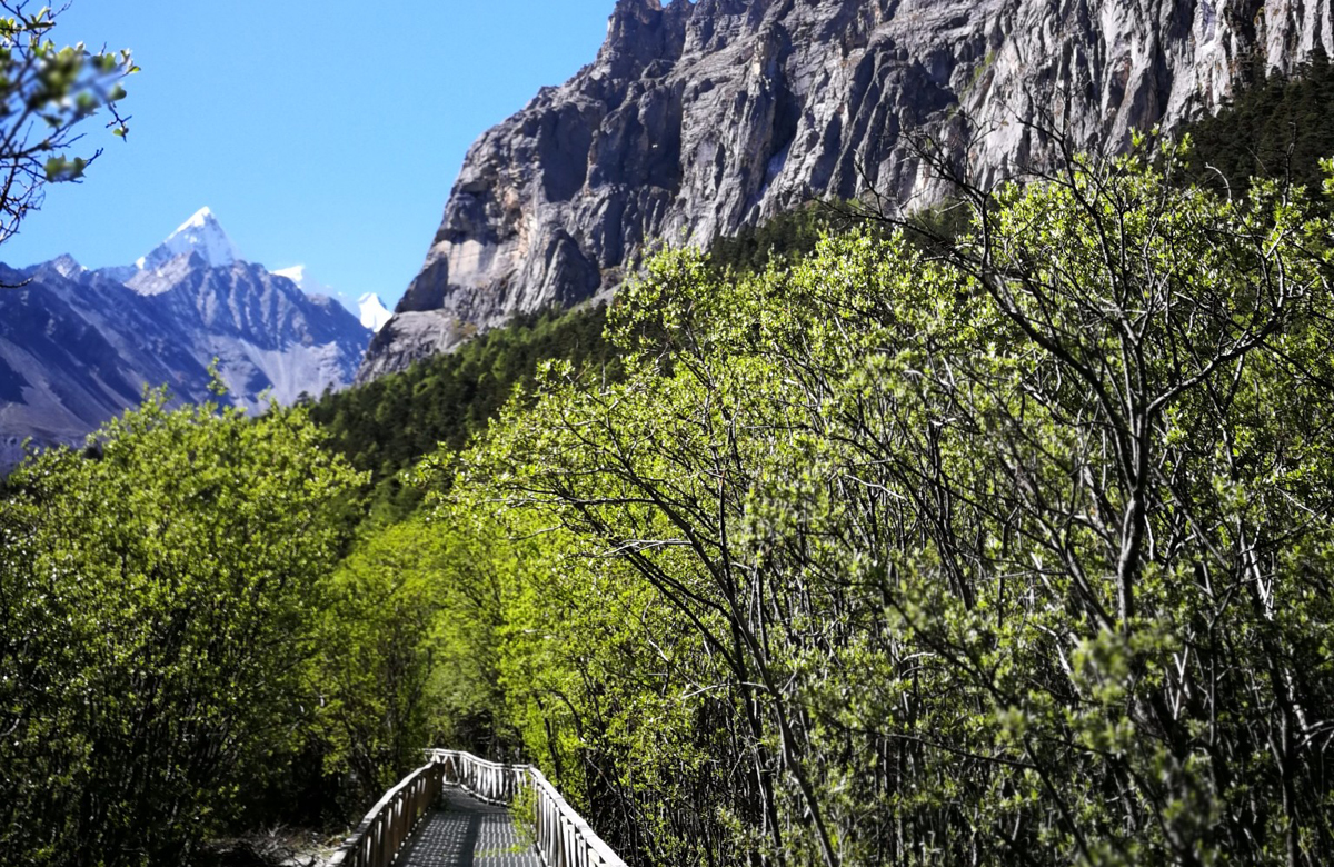 Early June in Daocheng Yading