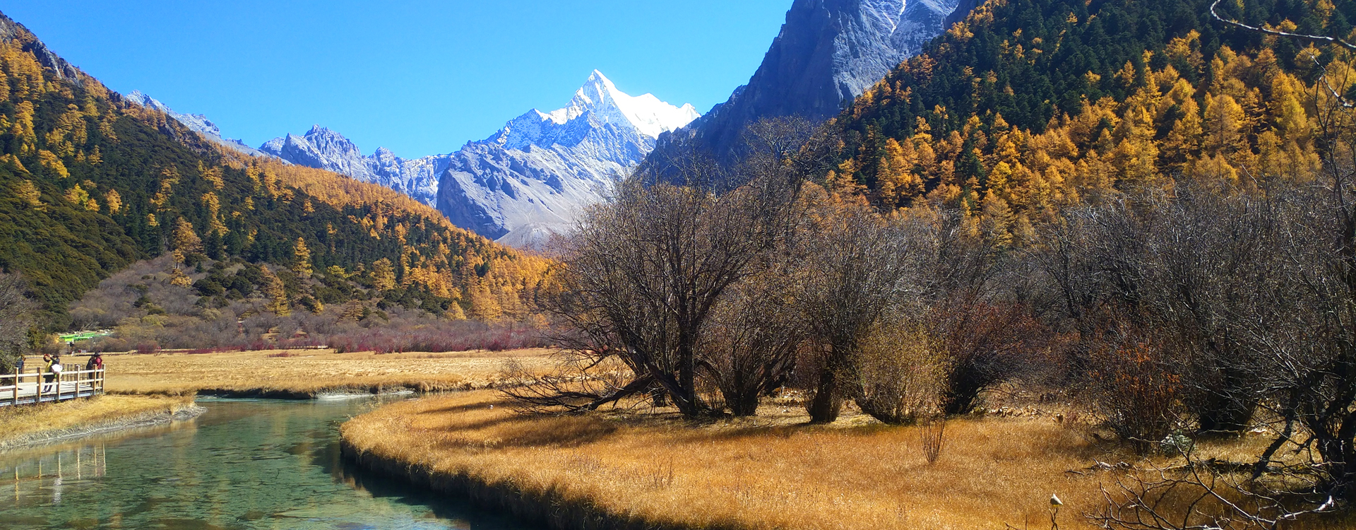 Yading Golden Fall