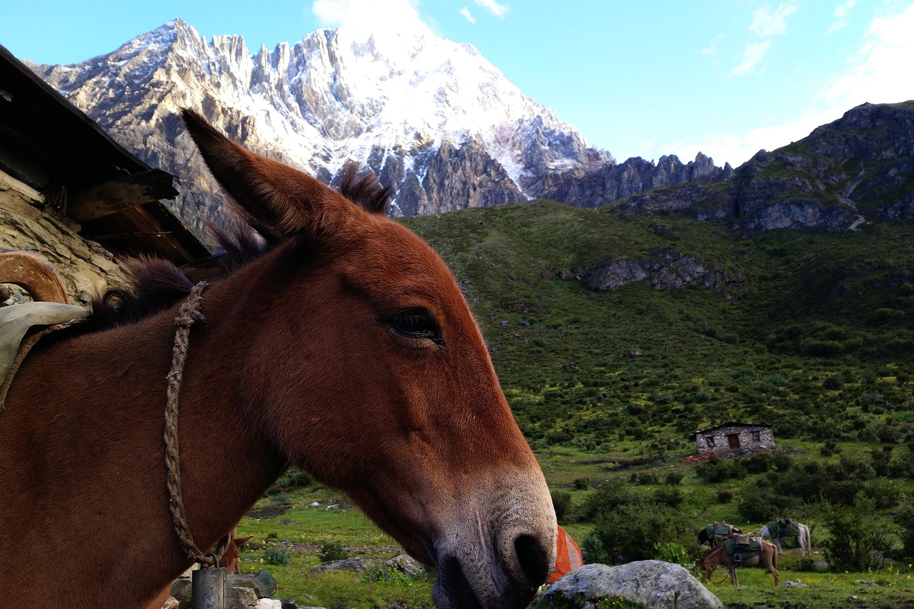 Yading Kora Trek