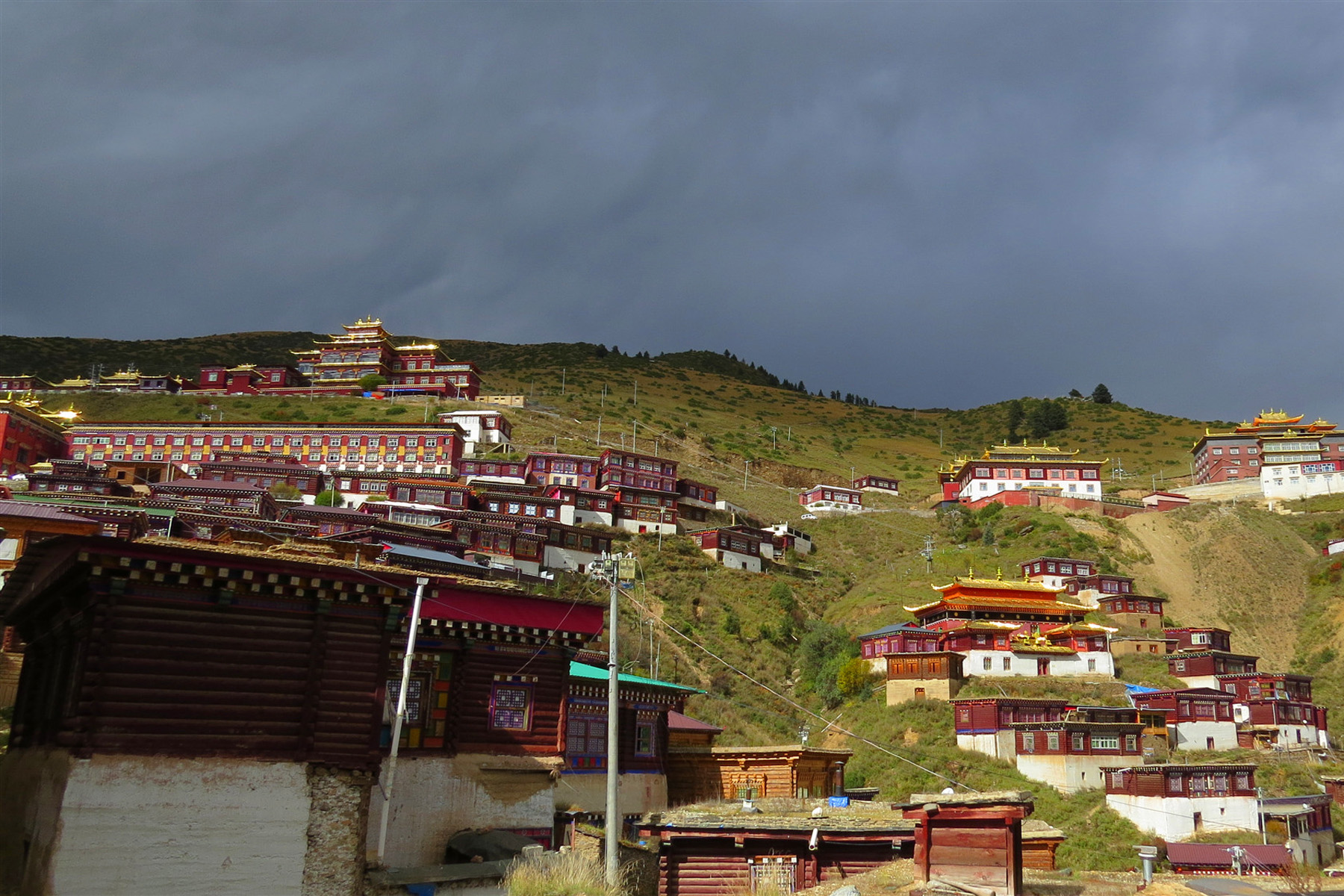 >Palpung Monastery