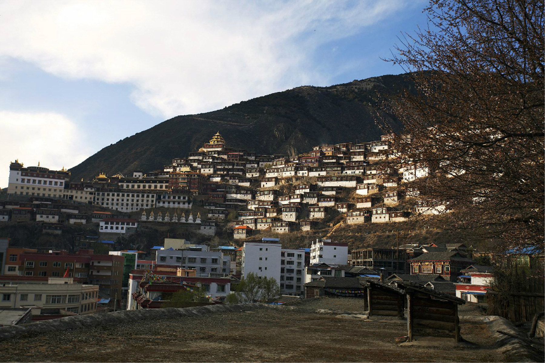 >Palyul Monastery