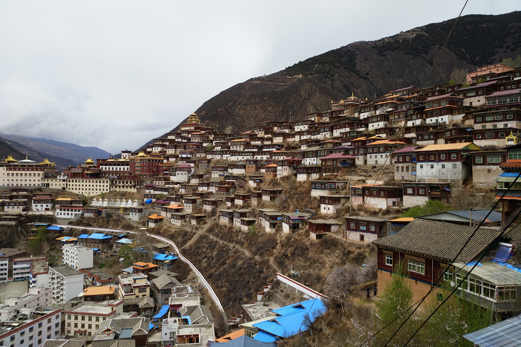 >Palyul Monastery