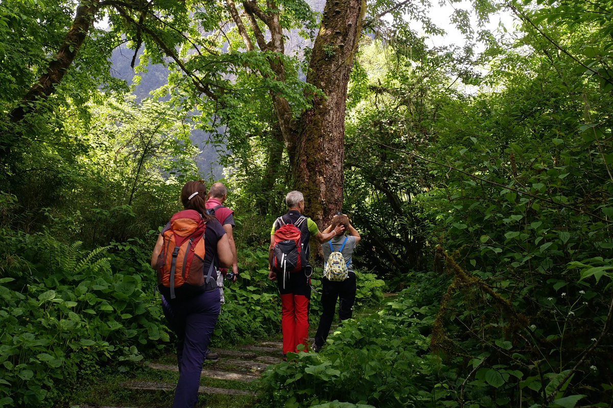 Hailuogou Hiking