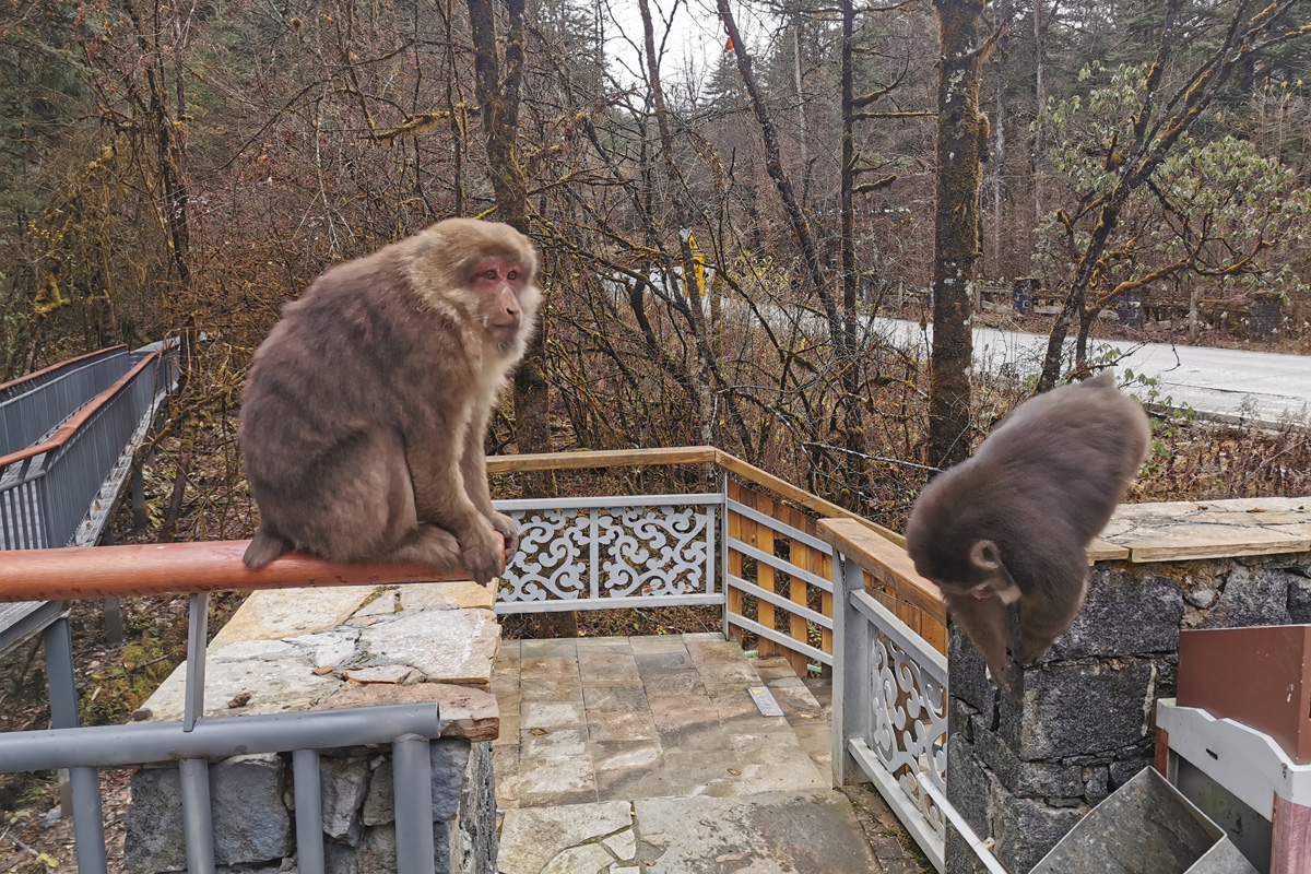 Hailuogou Hiking