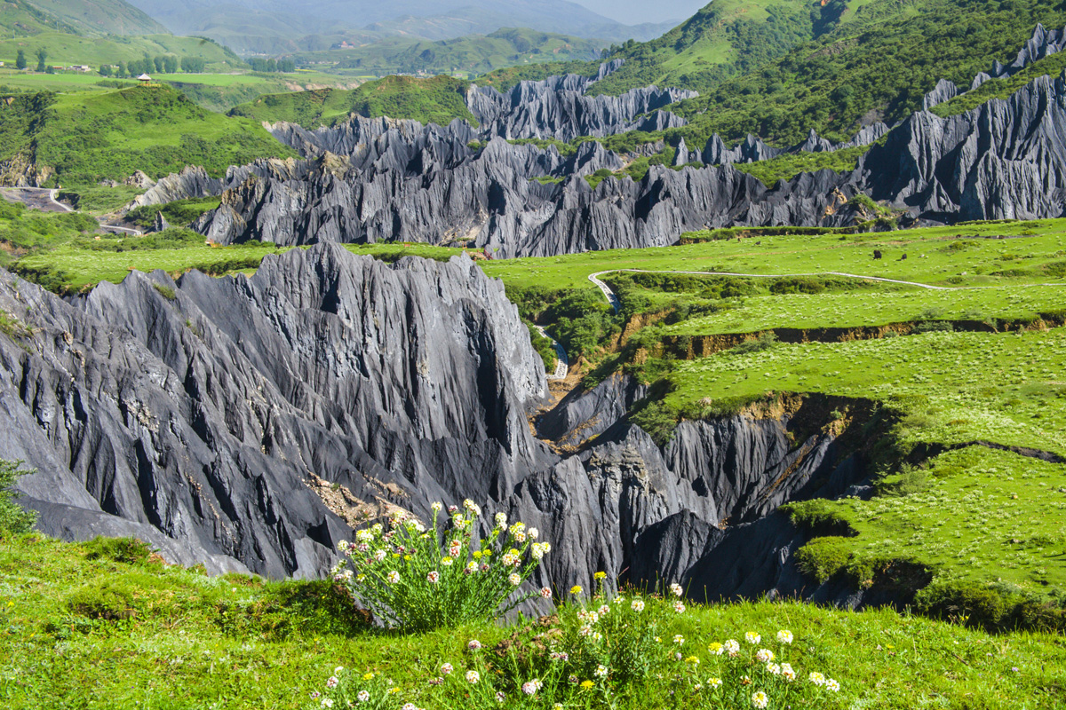 Baimei Stone Forest