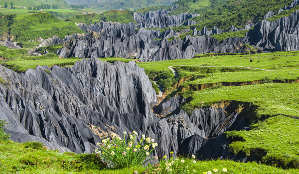 Dawu Landscape