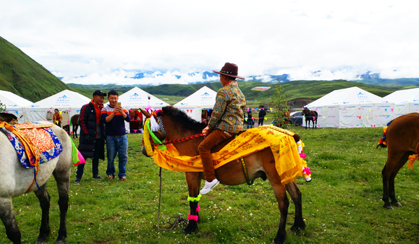 Horse Racing Festival