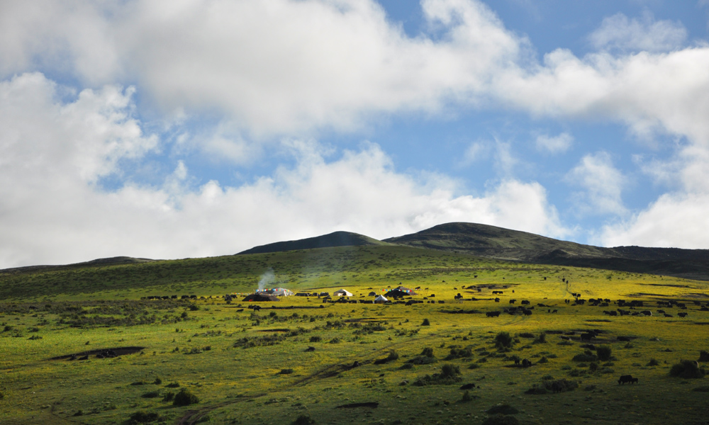 Tagong Grassland Nomads