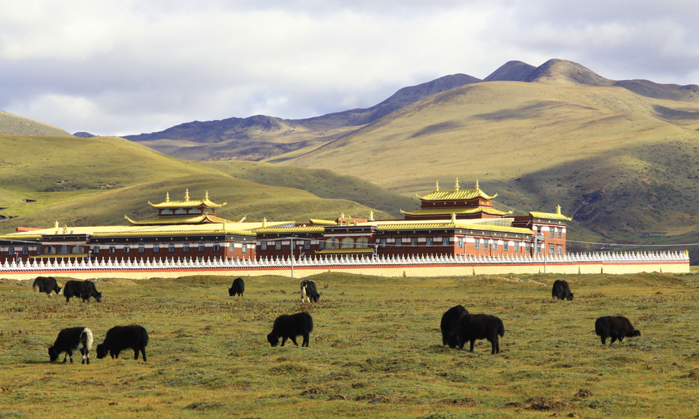 Tagong Grassland Buddhist School