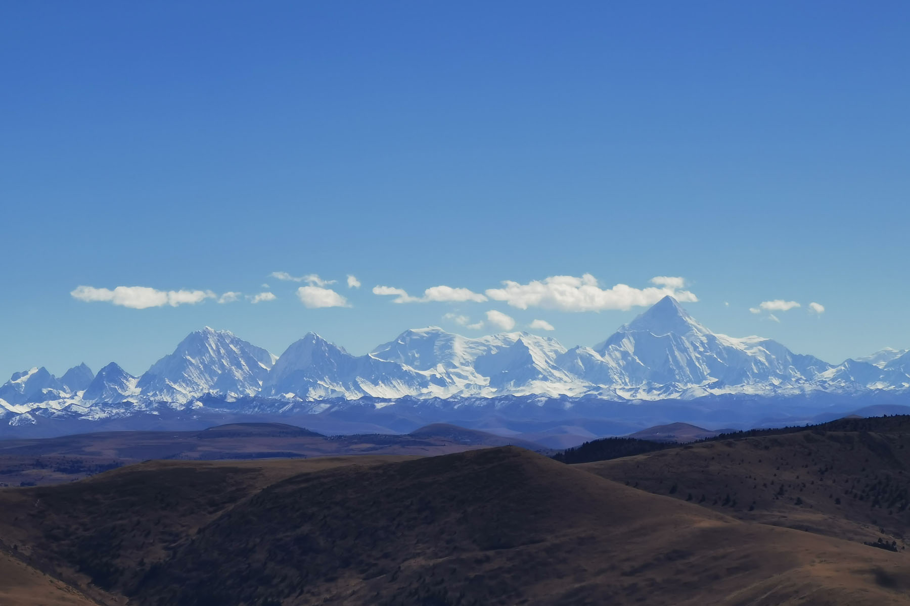 View Tagong Grassland