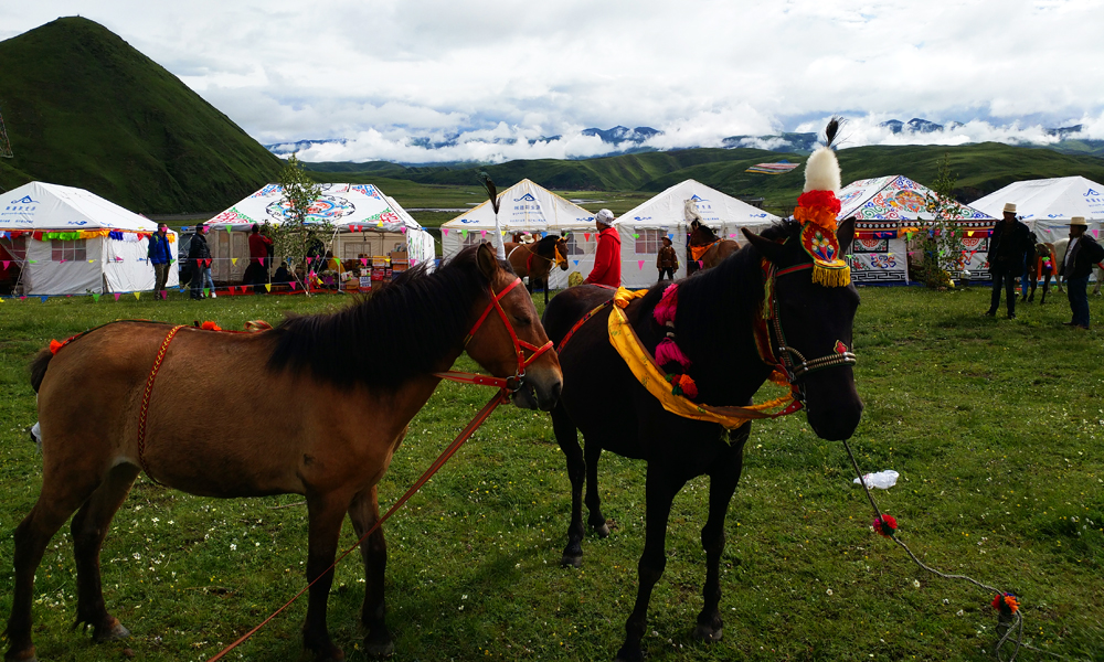 Tagong Horse-Racing Festival