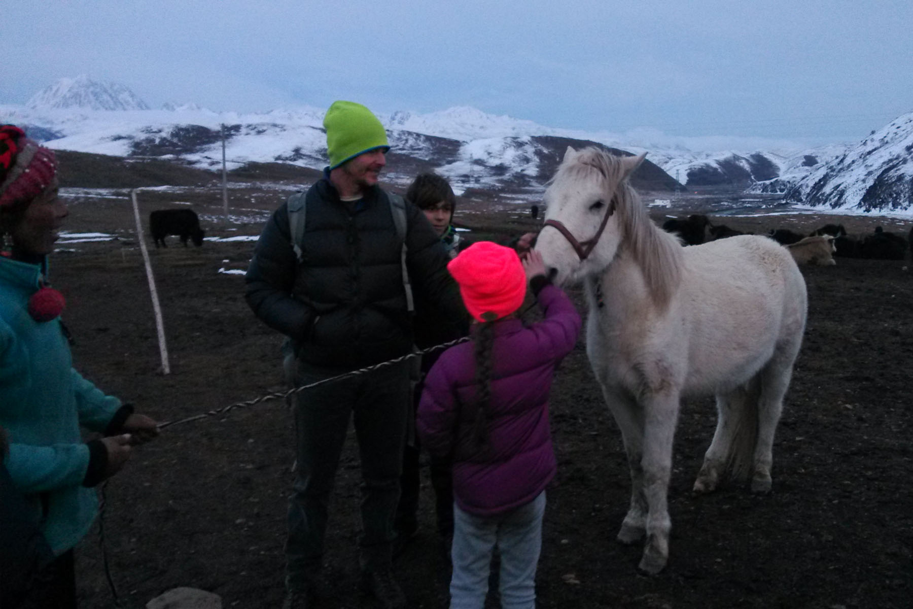 Tagong Grassland Horse Riding