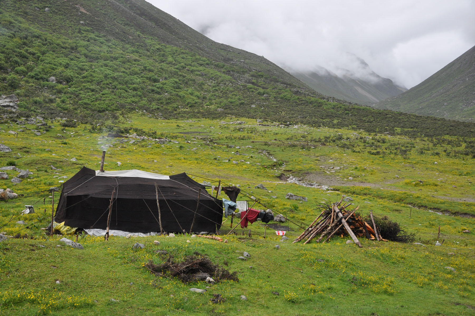 Tibetan Family Visit