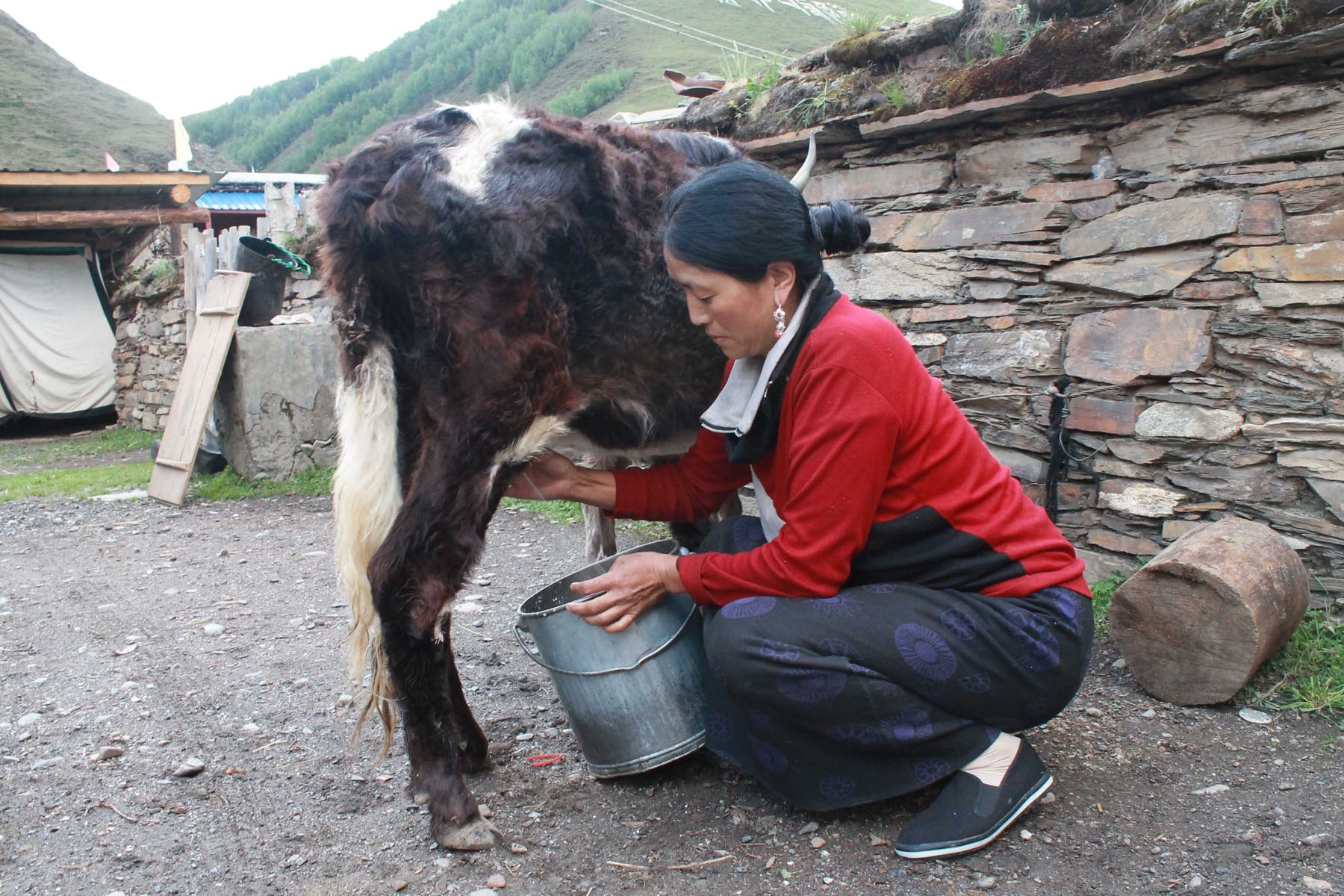 Tibetan Family Visit