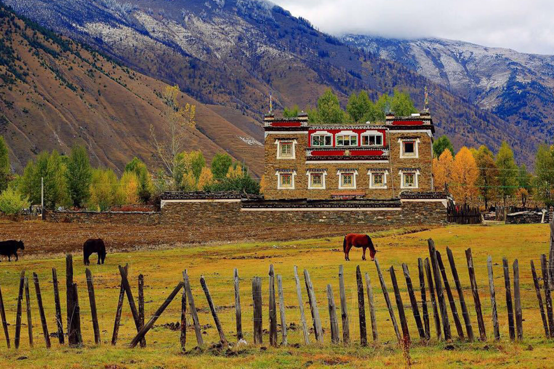 Tibetan Family Visit