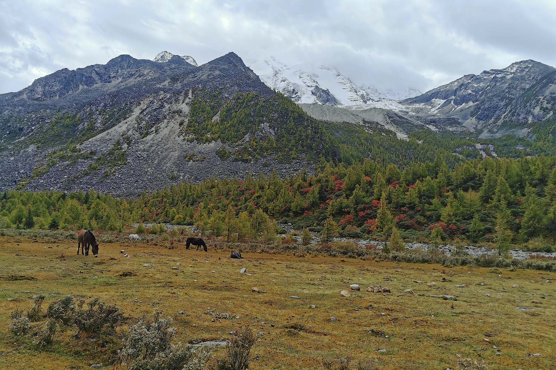 Kangding Trek Camping and Campsites