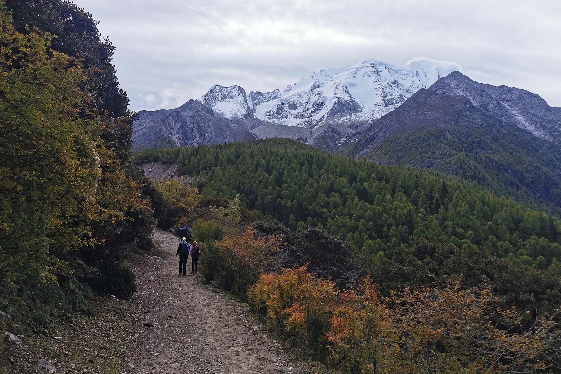 Tagong Grassland Mount Yala