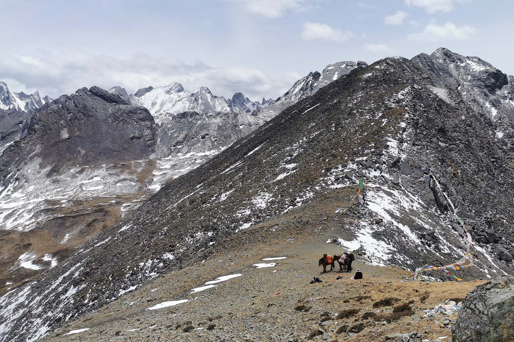 Tagong Grassland Mount Yala