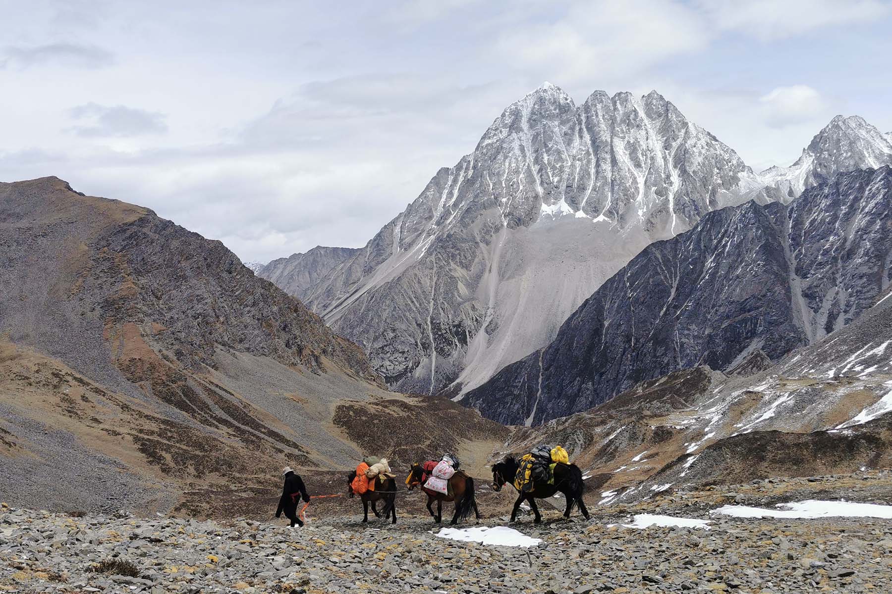 Tagong Grassland Mount Yala