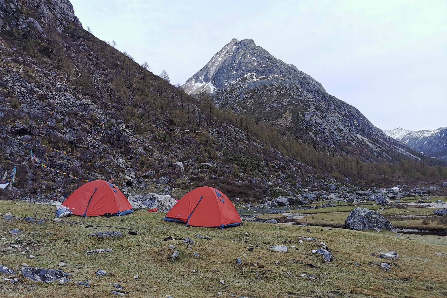 Tagong Grassland Mount Yala