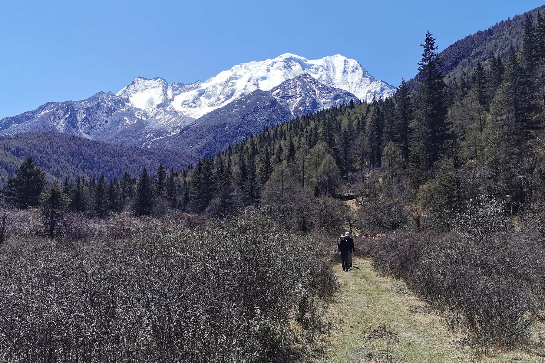 Tagong Grassland Mount Yala