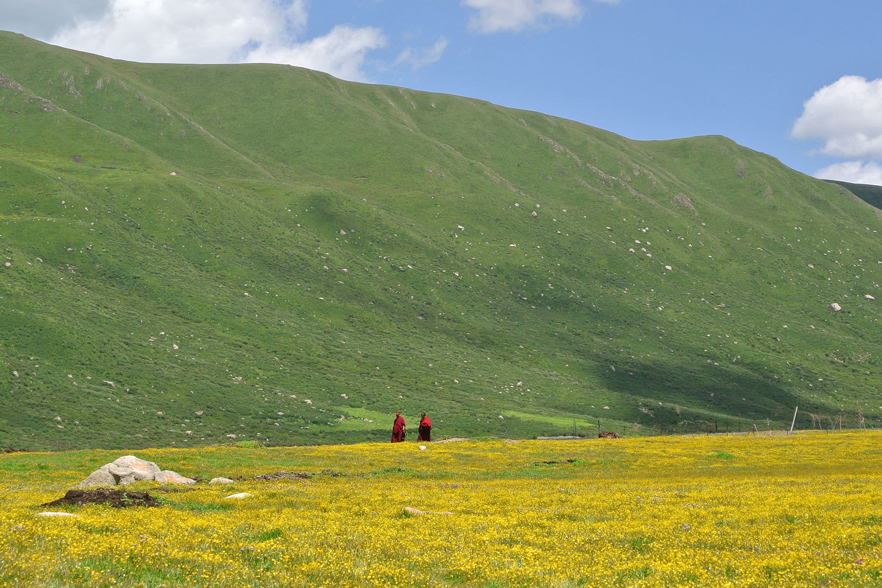 Exploring Nyenpo Yurtse