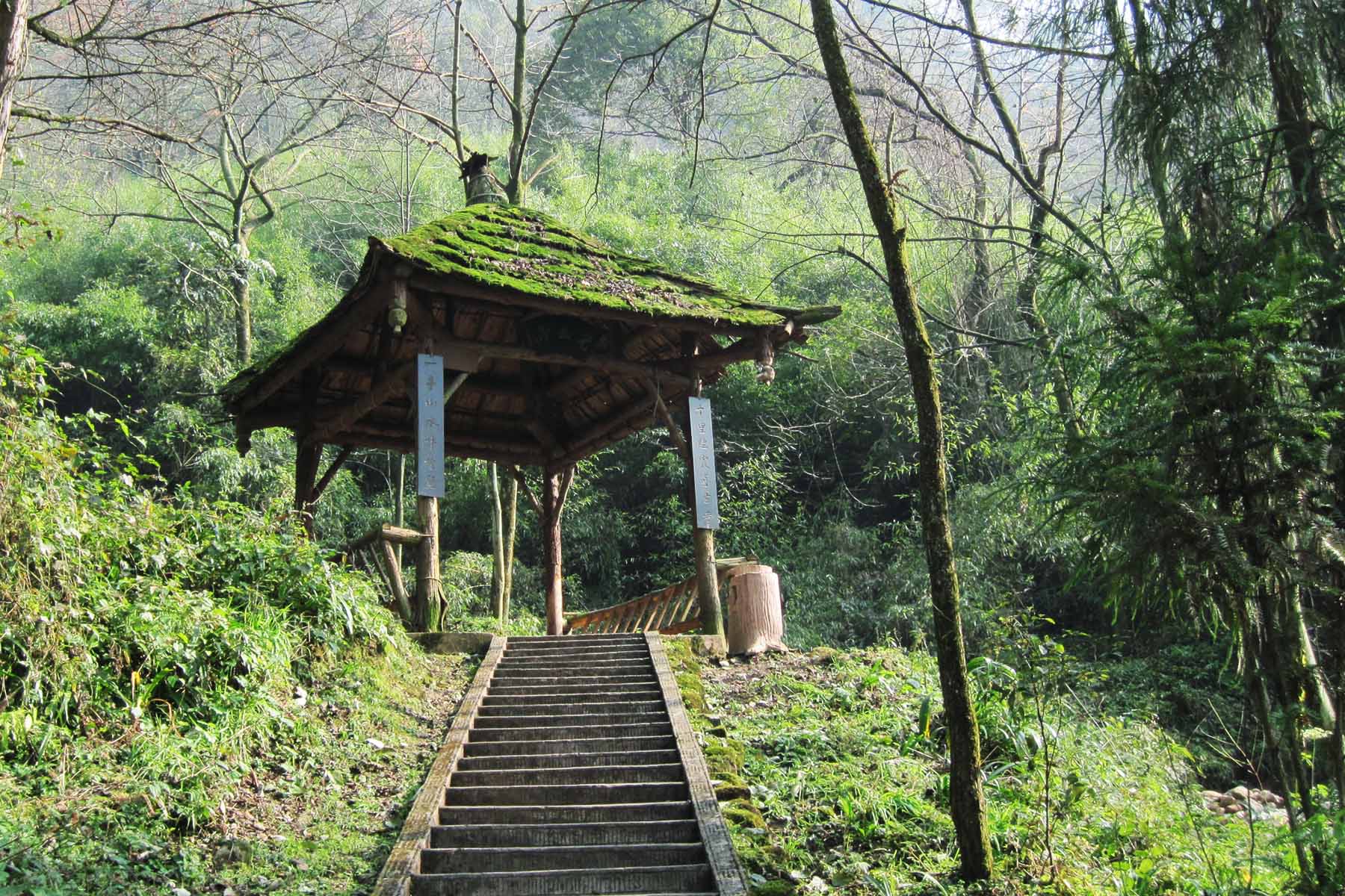 Qingcheng Back Mountain