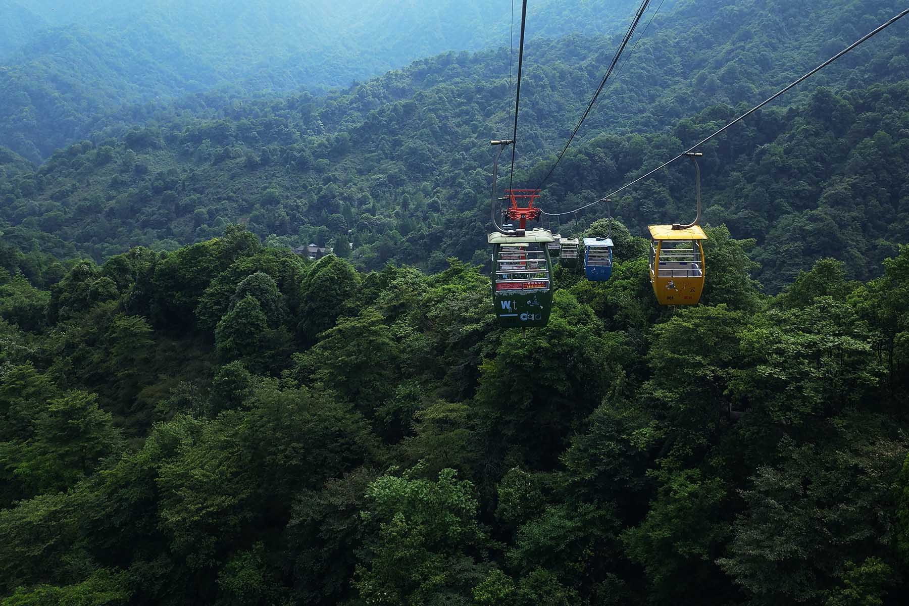 Qingcheng Back Mountain