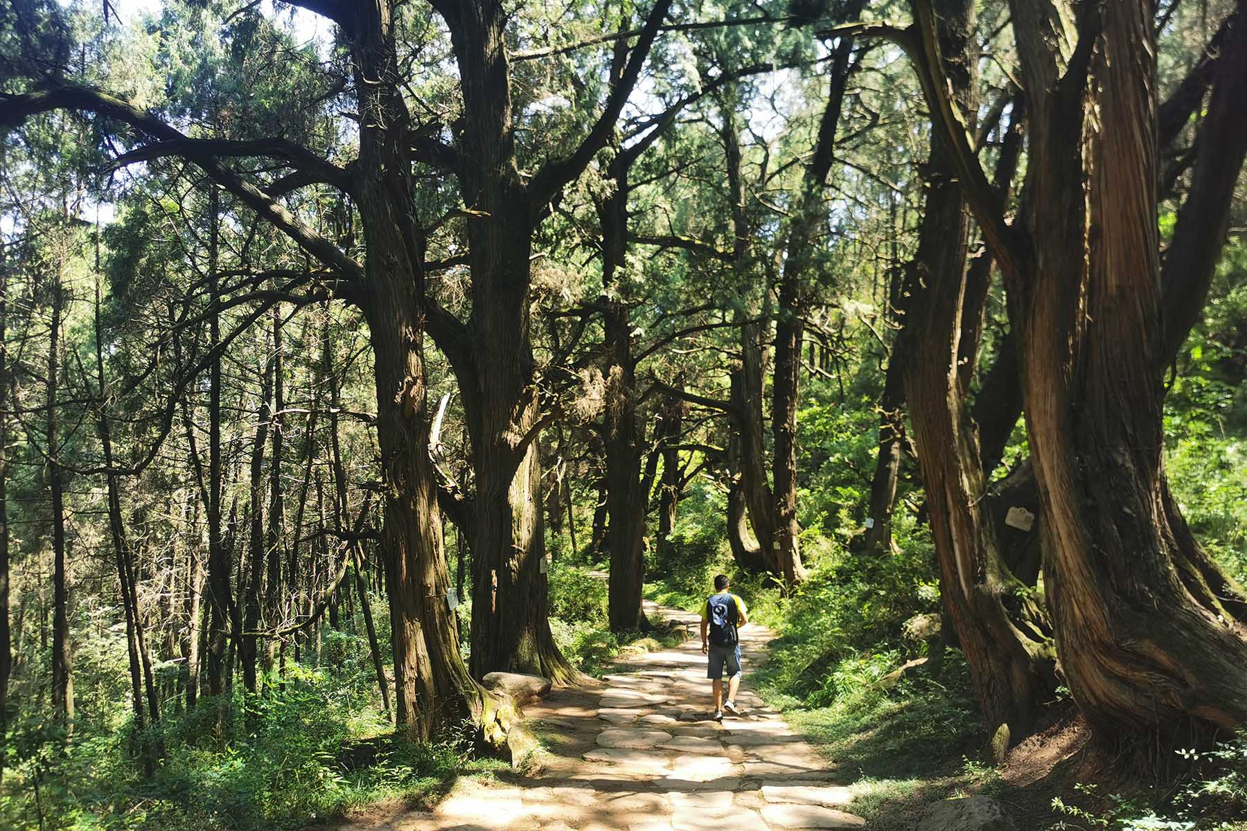 Hiking Ancient Shu Roads in Sichuan