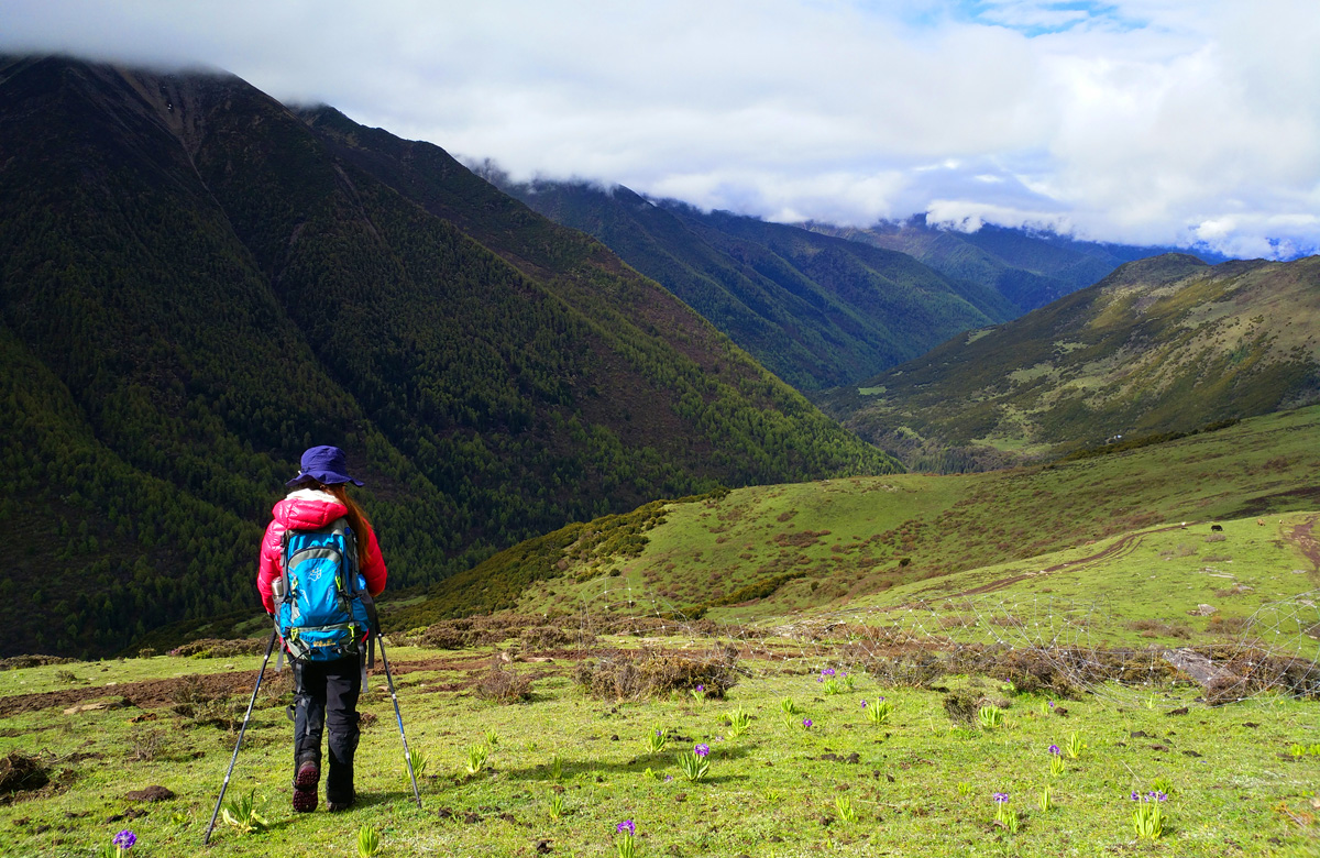 Dafeng Summit Trek