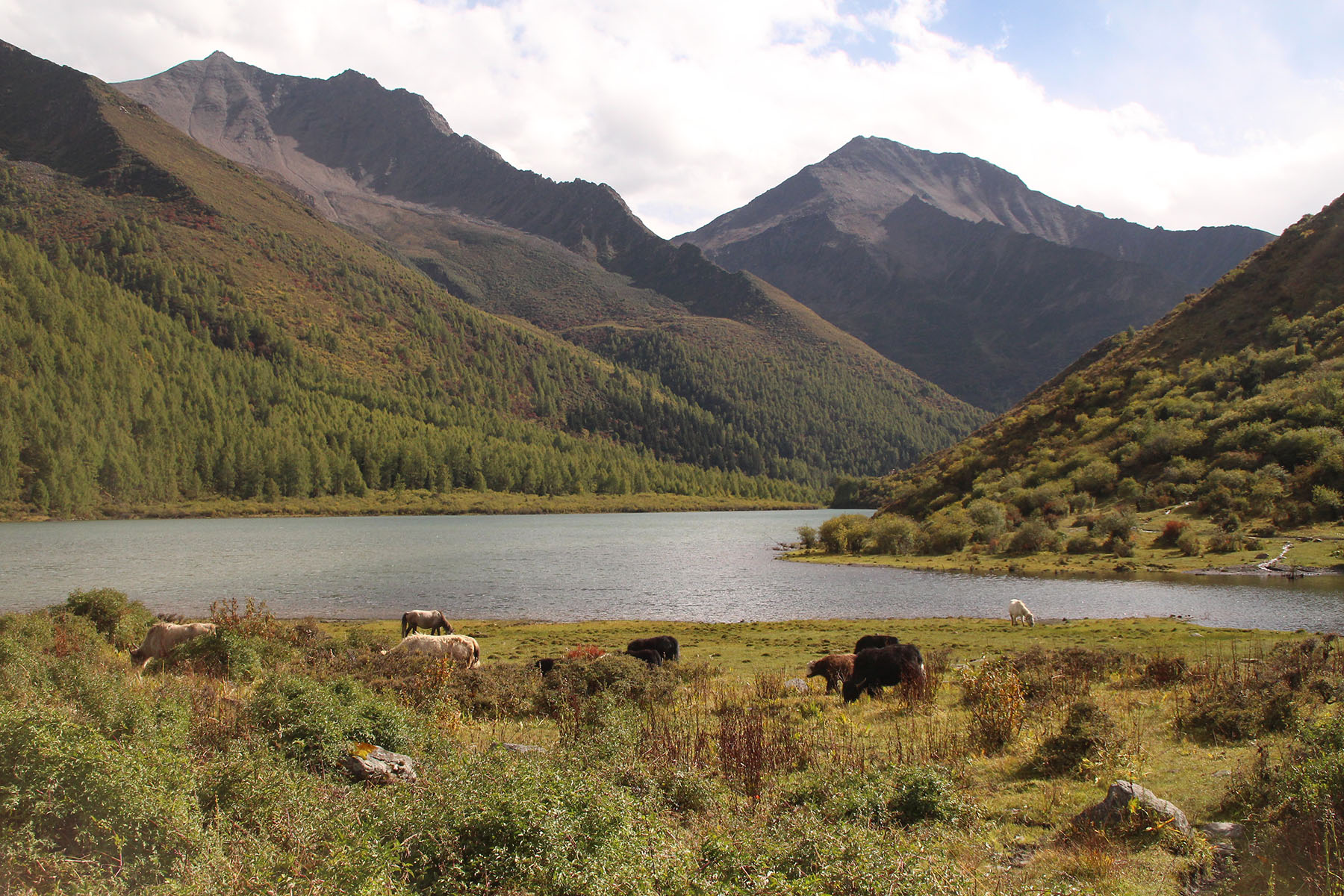 Mt. Siguniang - Haizi Valley