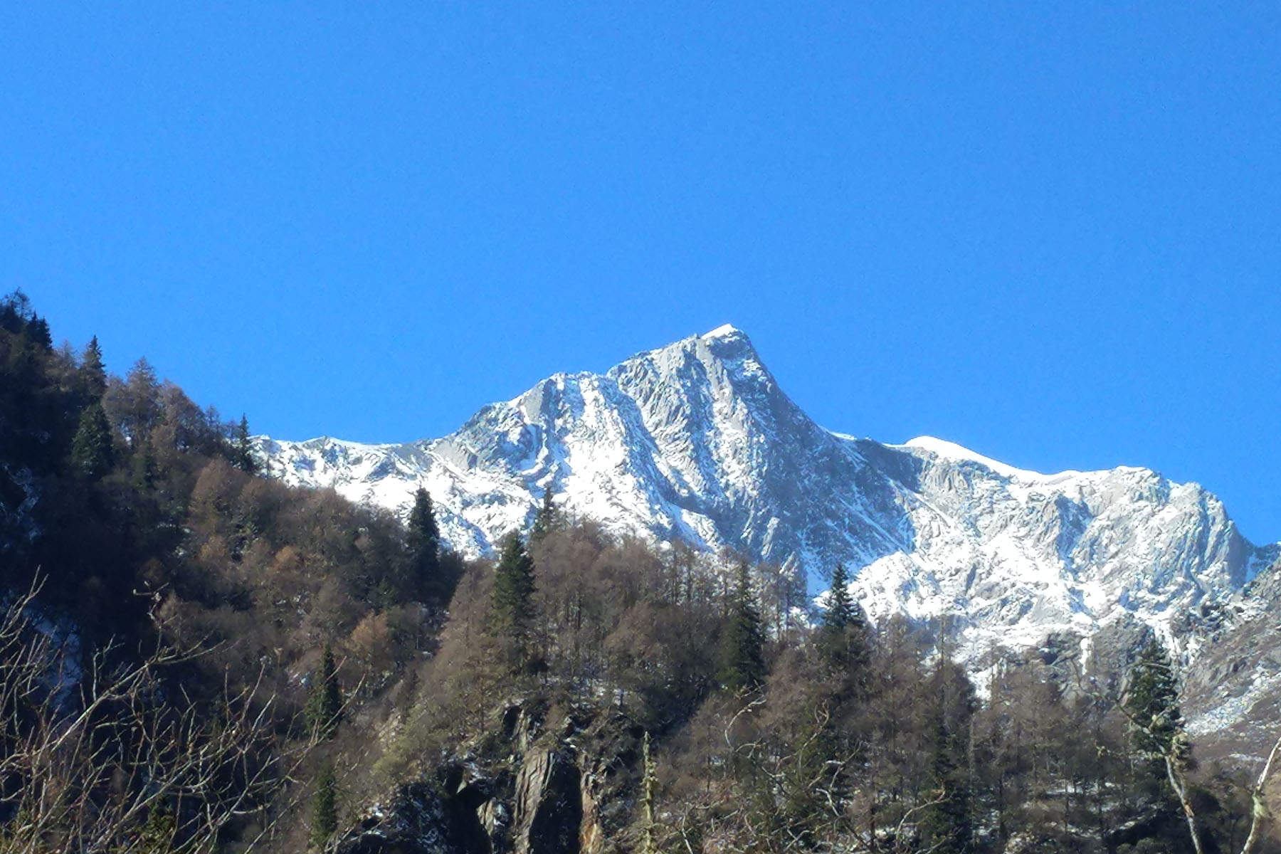 Mt. Siguniang - Changping Valley