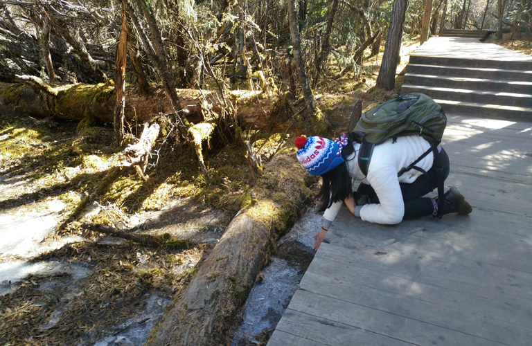 Middle November at Changpinggou Valley of Siguniang