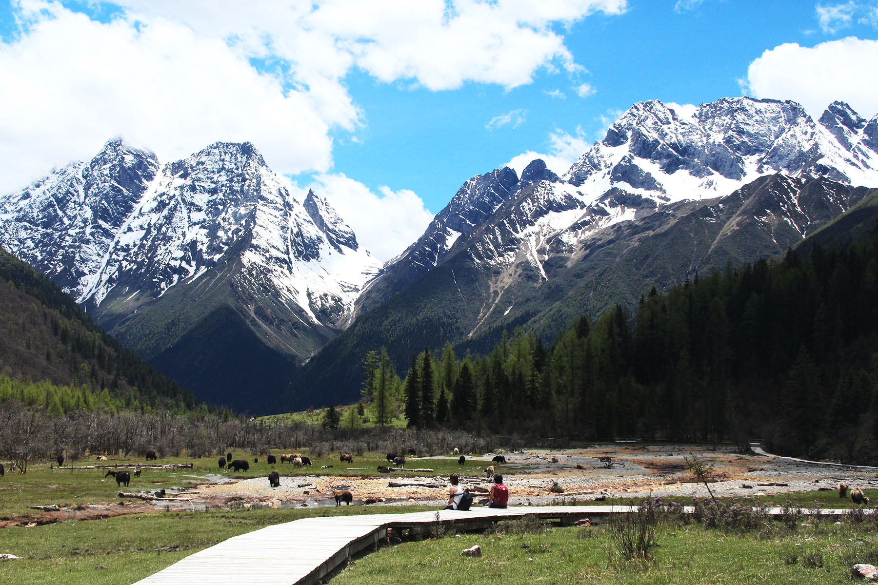 Mt. Siguniang - Shuangqiao Valley