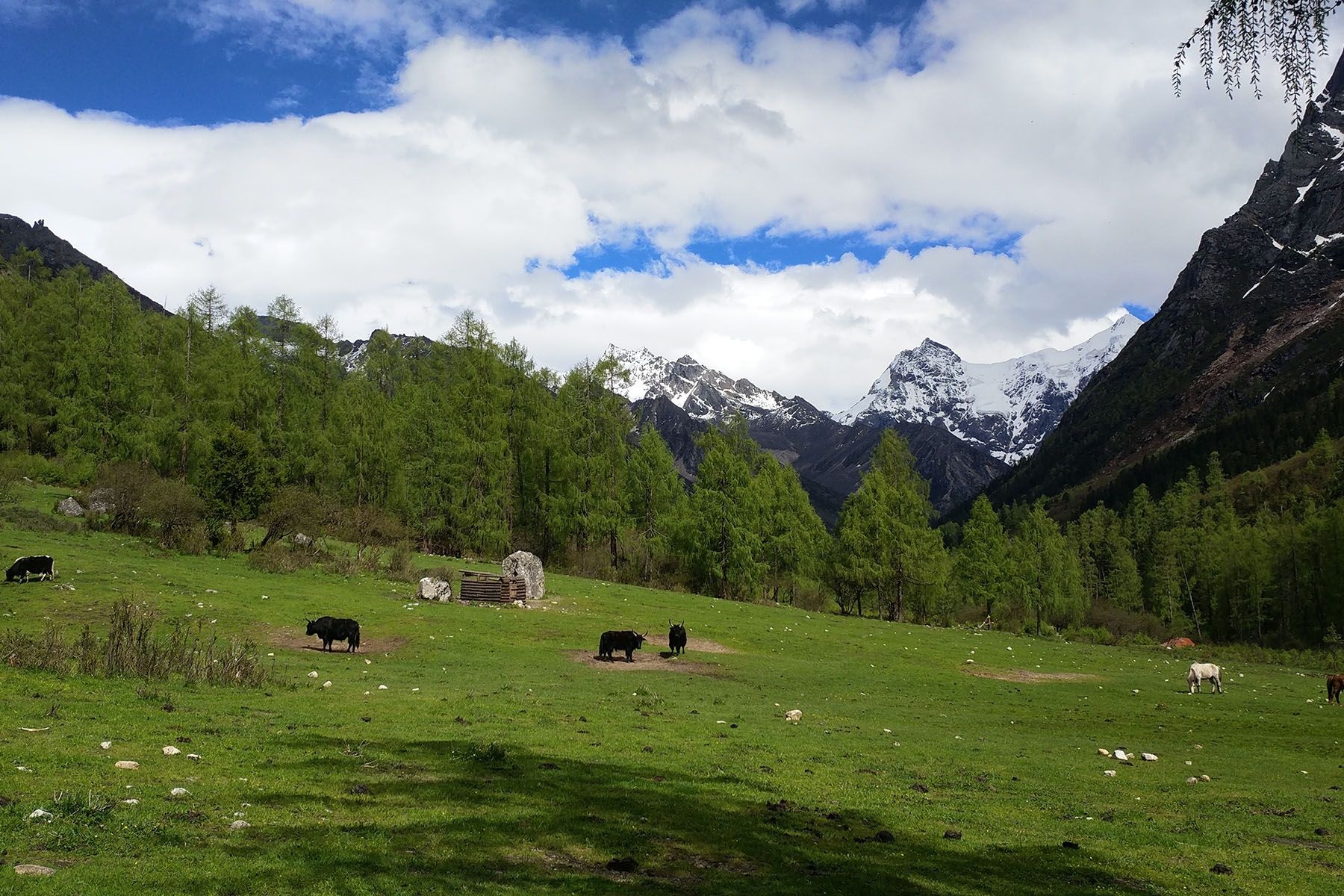 Mt. Siguniang - Changping Valley