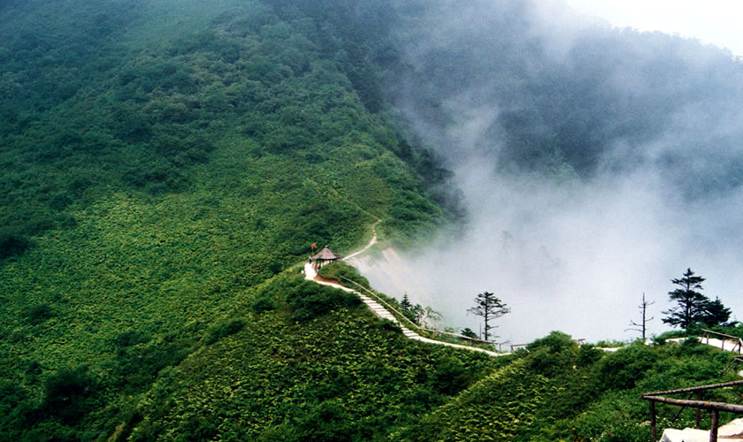 Hiking at Xiling Snow Mountain