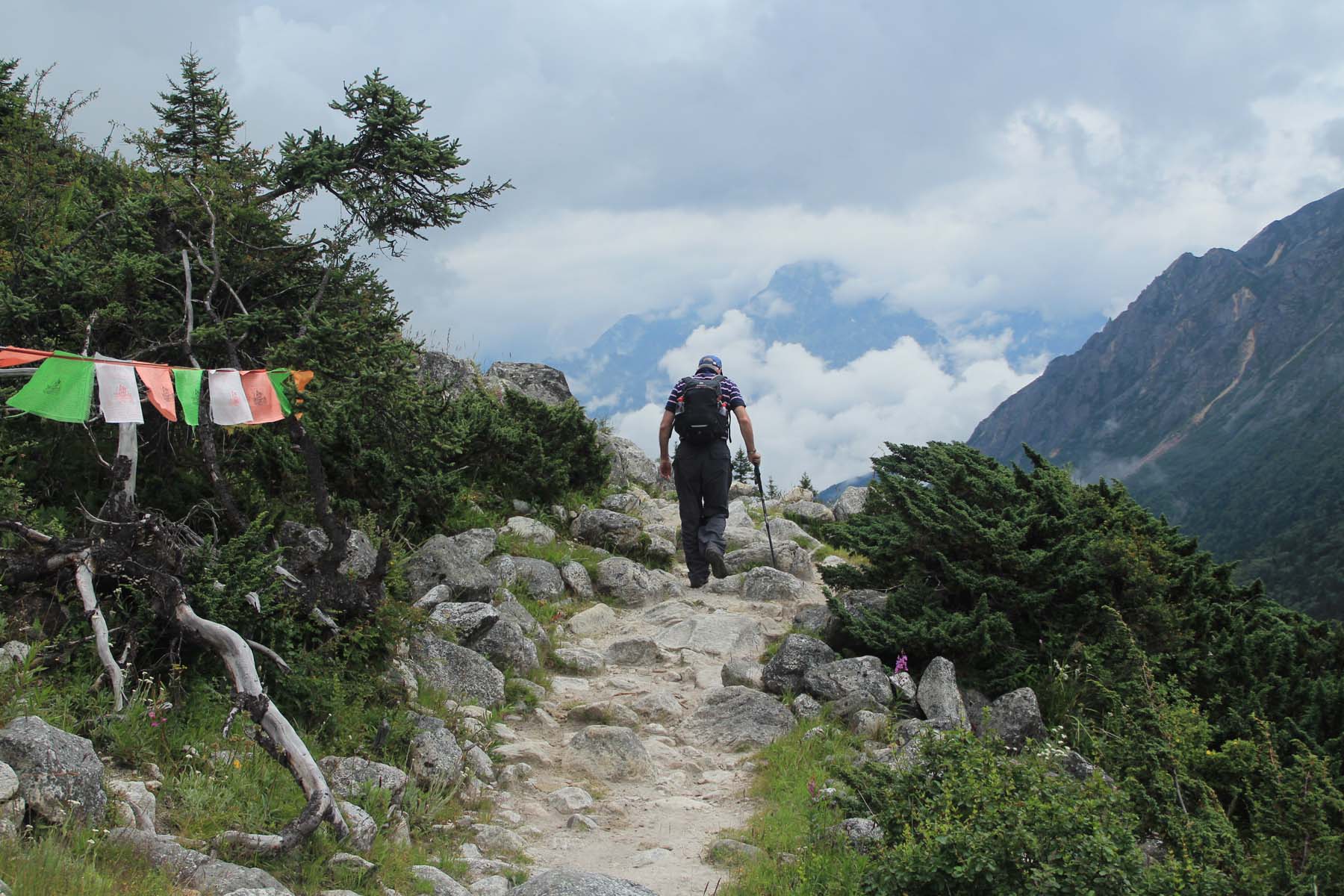 Hiking Trail-Terrain