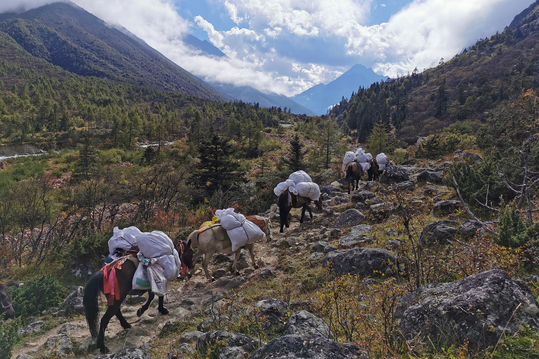 Sichuan Camping Trek