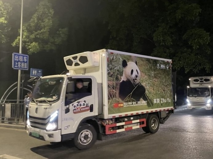 Giant Panda News