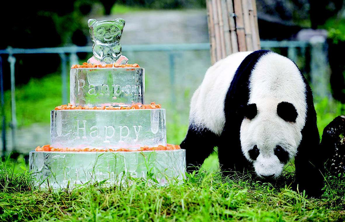 Dujiangyan Panda Base