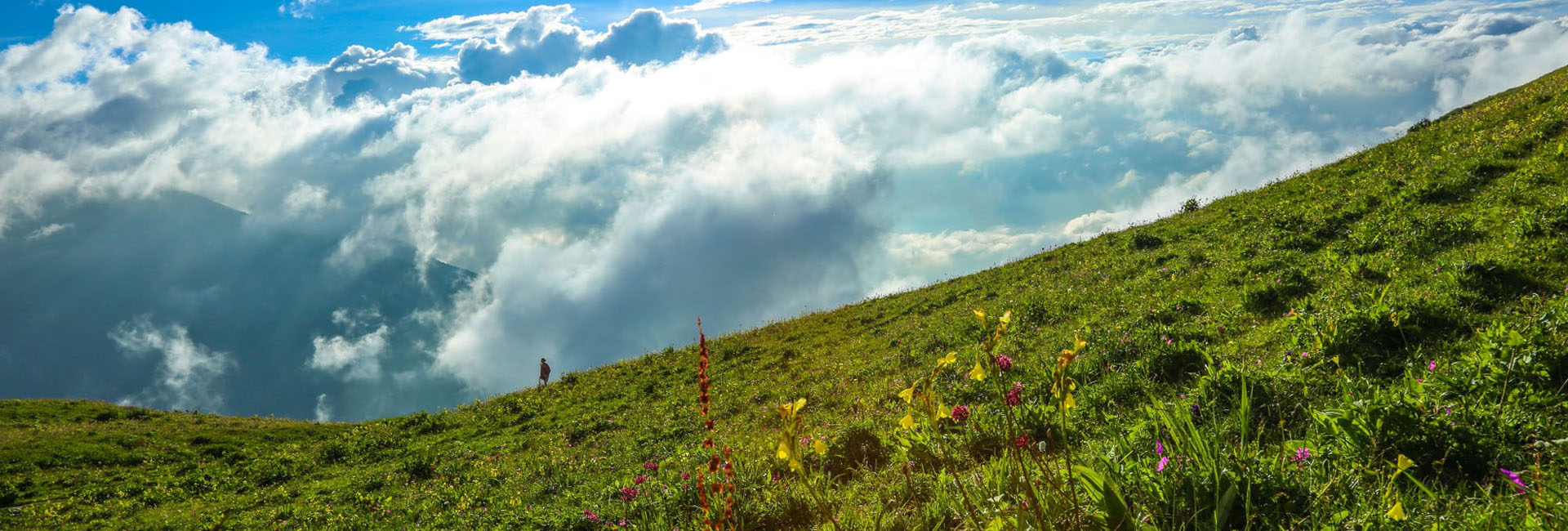 Chengdu Day Hike