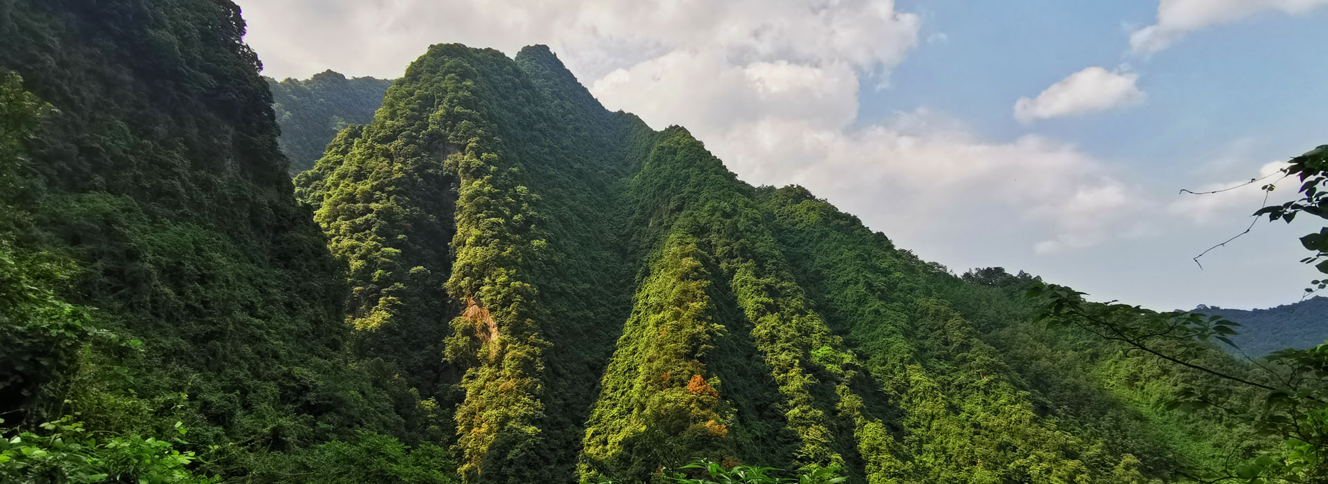 Chengdu Day Hike