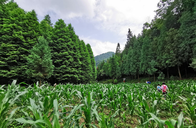 Chengdu Day Hike