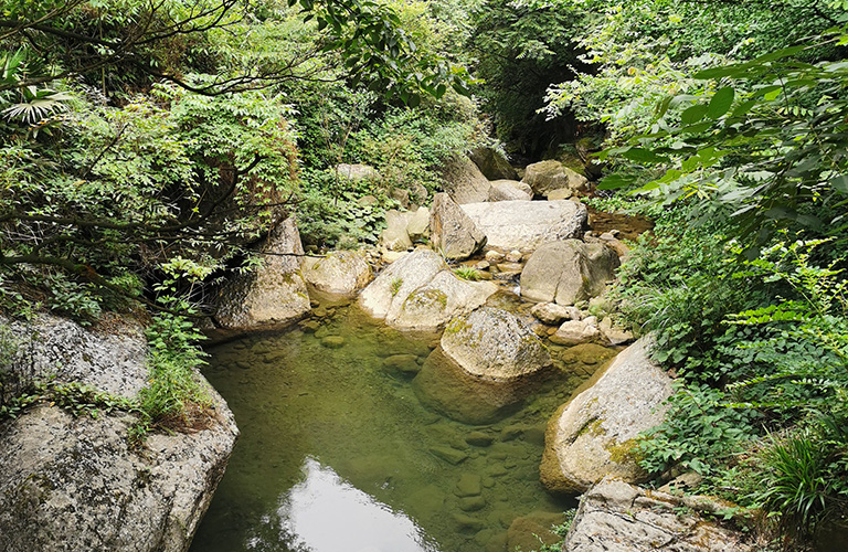 Chengdu Day Hike