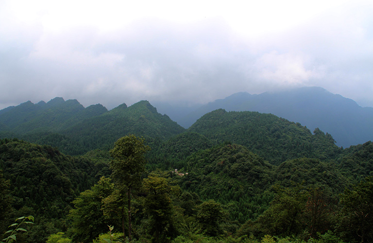 Chengdu Day Hike