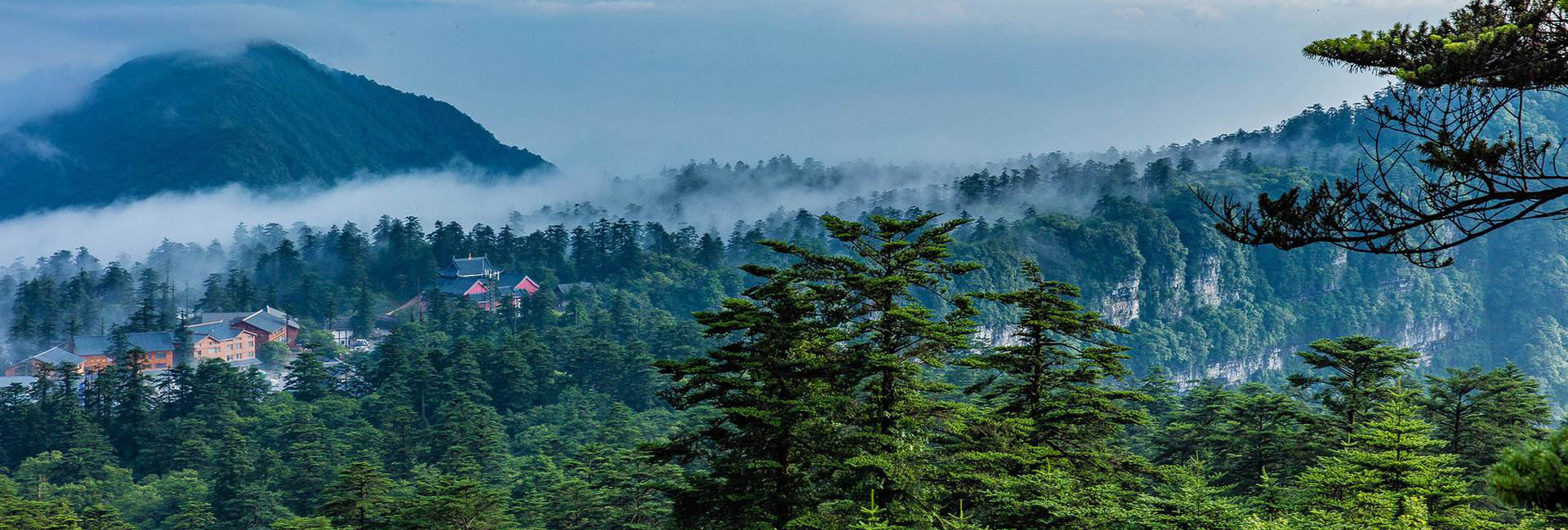 Dujiangyan Qingchengshan Leshan Mount Emei Tour - 4 Days